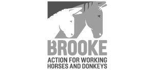 logo_Brooke-1