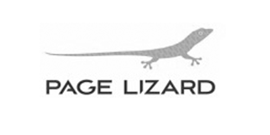 logo_page lizard