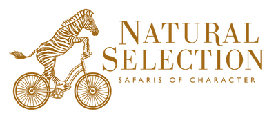 Natural-Selection-Safaris-of-Character-logo